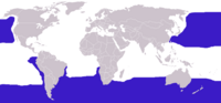 The distribution of albatrosses across the world.