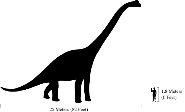 Image:Human-brachiosaurus size comparison.svg