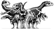 Skeletal reconstructions of several theropod dinosaurs.