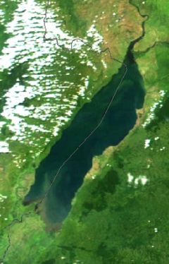 Lake Albert - 2002 NASA MODIS satellite picture. The dotted grey line is the border between Congo (DRC) (left) and Uganda (right).