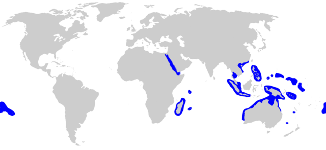 Image:Carcharhinus amblyrhynchos distmap.png