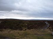 A view across Black Down from Beacon Batch