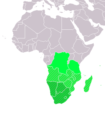      Southern Africa (UN subregion)      geographic, including above      Southern African Development Community (SADC)