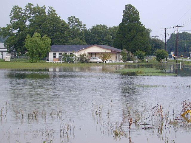 Image:TS Allison-LA.jpg