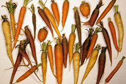 Carrots come in a wide variety of shapes and sizes.