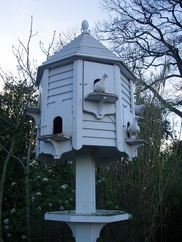 Image:Dove house.jpg