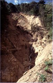 Mudslide in San Juancito