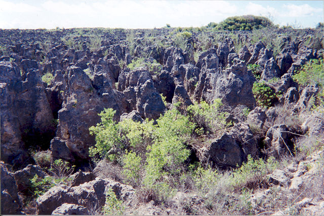 Image:Karst following phosphate mining on Nauru.jpg