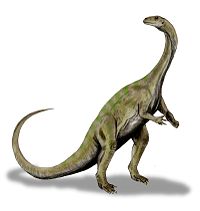 This artist's impression of Massospondylus depicts the animal as bipedal.