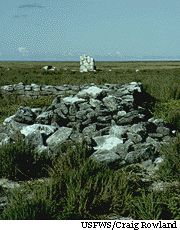 Building ruins near the site of Itascatown on Howland Island