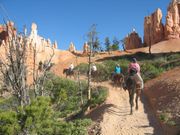 Horse riding is available in the park from April through October.