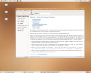 Freshly Installed Ubuntu 7.04 (Feisty Fawn)