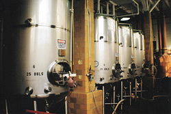 Fermenting tanks with yeast being used to brew beer.