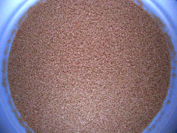 Active dried yeast, a granulated form in which yeast is commercially sold.