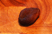 Dried organic apricot, produced in Turkey. The colour is dark because it has not been treated with sulfur dioxide (E220).