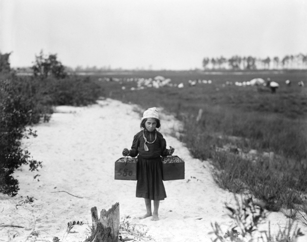 Image:ChildLabor1910.png