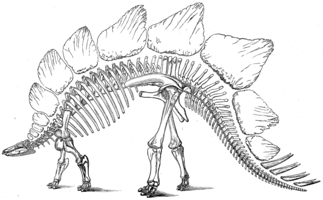 Image:Stego-marsh-1896-US geological survey.png