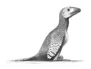 Illustration of Deinonychus antirrhopus at rest with forelimbs folded. Plumage based on related genera.