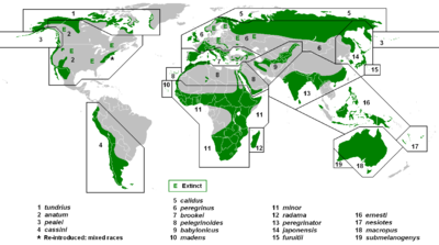 Breeding ranges of the subspecies