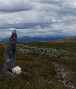 Red T-markings show the way on marked trails.