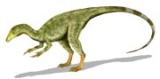 The phylogenetic position of Compsognathus suggests that its body might have been covered with feather-like structures.