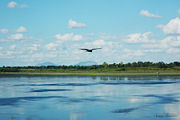 The Hesaraghatta Lake in Bangalore