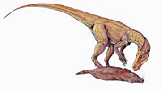 Herrerasaurus.