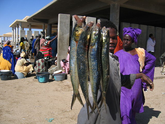 Image:Fish market nouakchott mauritania.JPG