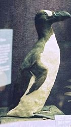 Great Auk, Walter Rothschild Zoological Museum, Tring, England