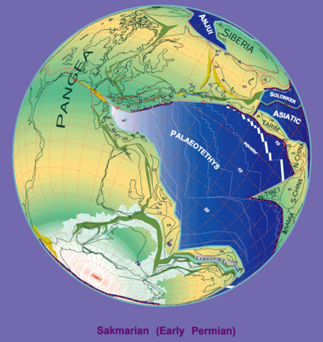 Image:280 Ma plate tectonic reconstruction.png