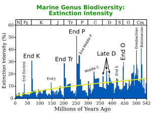 The Permian–Triassic extinction event, labeled "End P" here, is the most significant extinction event in this plot for marine genera which produce large numbers of fossils.