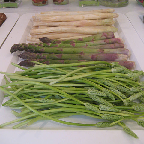 Image:Asparagus3.JPG