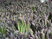 Green asparagus for sale in New York City.