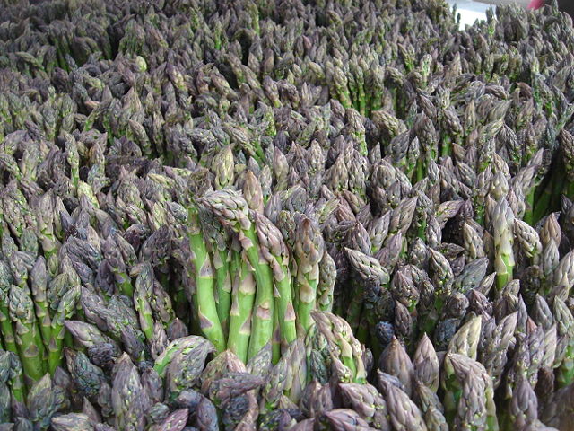 Image:Green Asparagus New York 11 May 2006.jpg