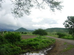 Typical countryside near Mhow during the monsoon season