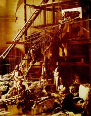 Photograph of a Bernissart Iguanodon skeleton being mounted.