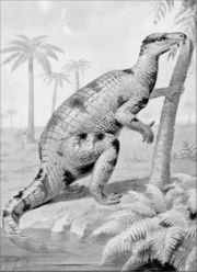 Nineteenth century painting showing Iguanodon in a tripod pose.