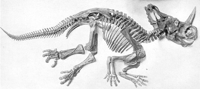 Image:Sharp naturalhistory1920 monoclonius.jpg