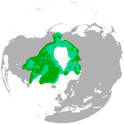 Polar bear range