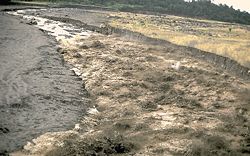 A hot lahar rushes down a river valley near El Palmar in 1989