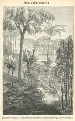 Painting depicting some of the most significant plants of the Carboniferous.