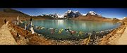 Unfrozen Gurudongmar Lake in North Sikkim.