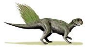 Psittacosaurus mongoliensis.