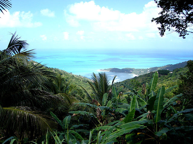 Image:Tortola.jpg