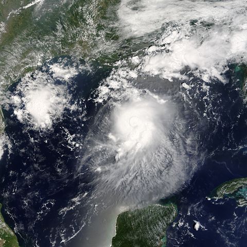 Image:TS Bonnie 2004.jpg