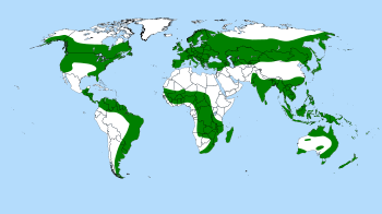 Distribution of the genus Drosera shown in green.