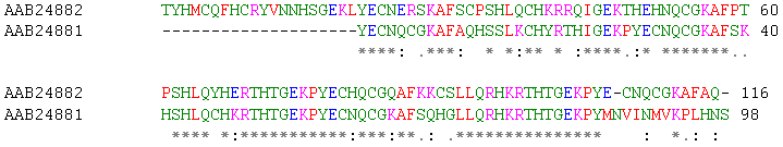 A sequence alignment, produced by ClustalW between two human zinc finger proteins identified by GenBank accession number. (Key)