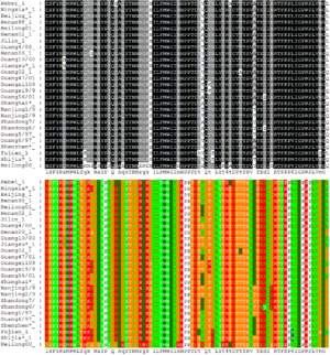 Alignment of 27 avian influenza hemagglutinin protein sequences colored by residue conservation (top) and residue properties (bottom)