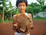 A boy from Jakarta with his ball.  Ball games tend to be good exercise, involving lots of physical activity and are popular worldwide.