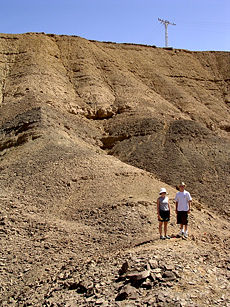 Middle and Upper Triassic shallow marine sequence, Makhtesh Ramon, Israel.